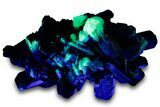 Fluorescent Hyalite Opal on Lustrous Black Tourmaline (Schorl) #322776-5